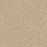 Record - Pinto WARM BEIGE